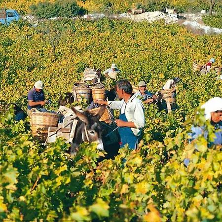 Cyprus Villages Und Umgebung - Lca01002-dyc توشني